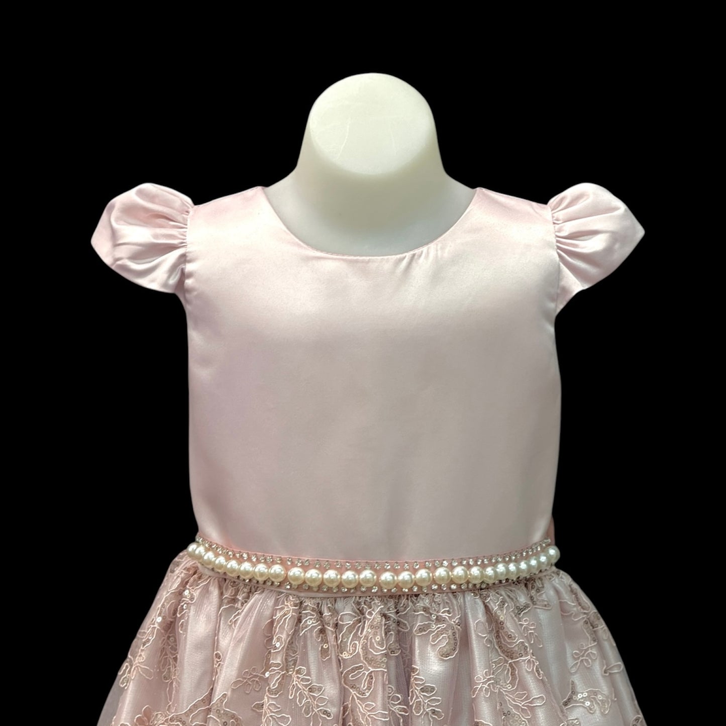 Dusty Pink Short Sleeve Dress w/ Embroidered Skirt