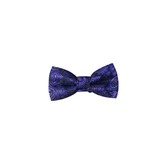 Boys Purple Paisley Bow Tie