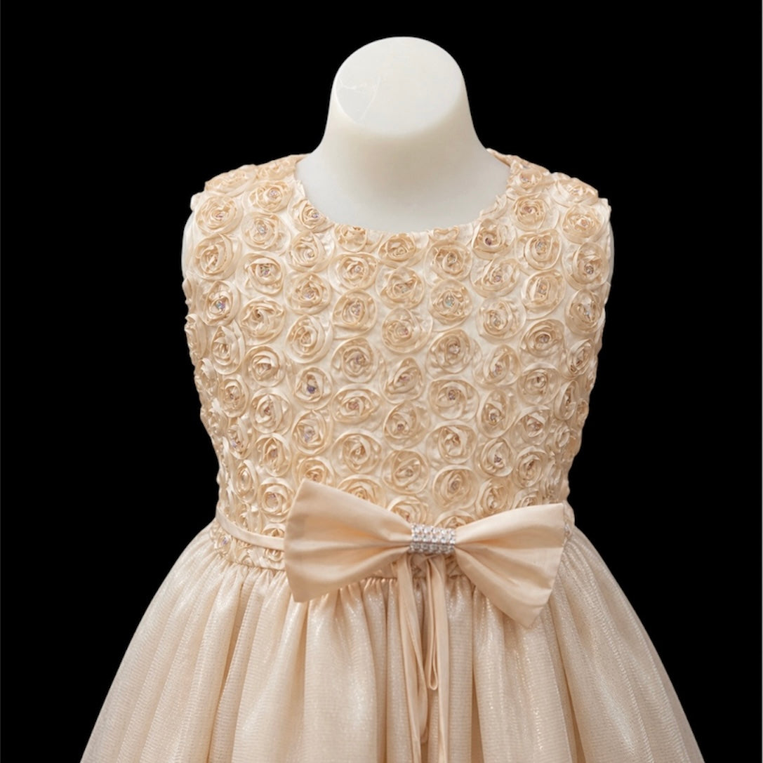 Champagne Glitter Tulle Dress with Floral Ribbon Bodice & Rhinestone Bow Waist (Size 8)