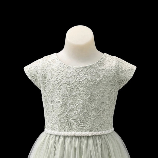 Sequin Lace Sage Tea-length Dress w/ Pearl Waist & Tulle Skirt