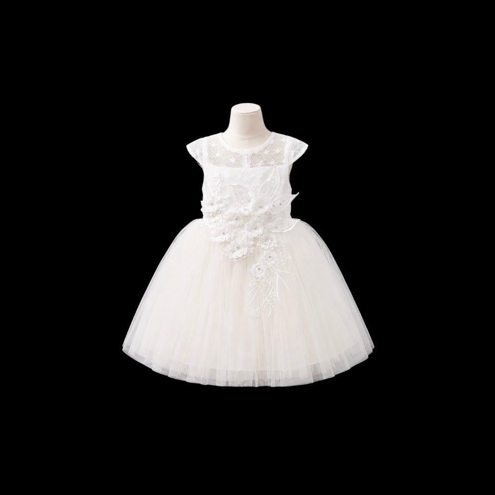 Baby Girl Lace Cap Sleeve Dress with Floral Embroidered Bodice & Layered Tulle Skirt