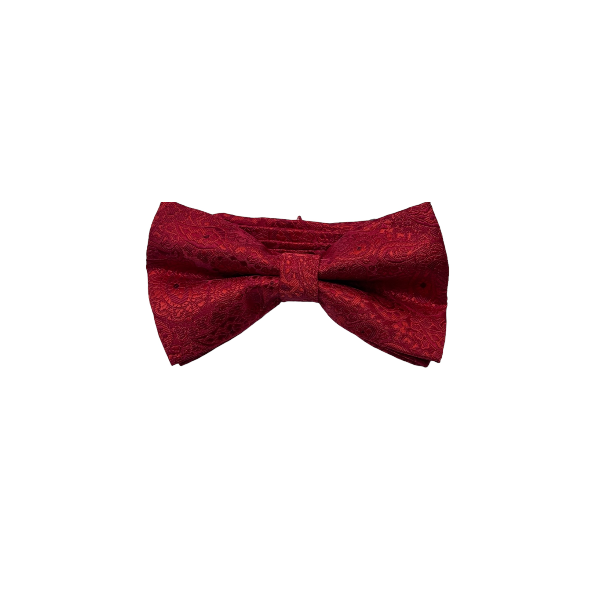 Mens Paisley Bow Tie