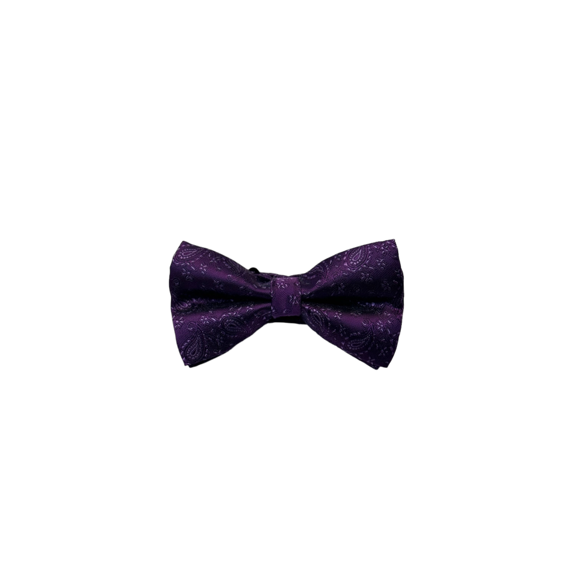 Mens Paisley Bow Tie