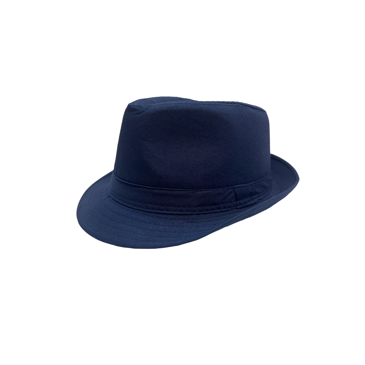 Men’s Navy Fedora
