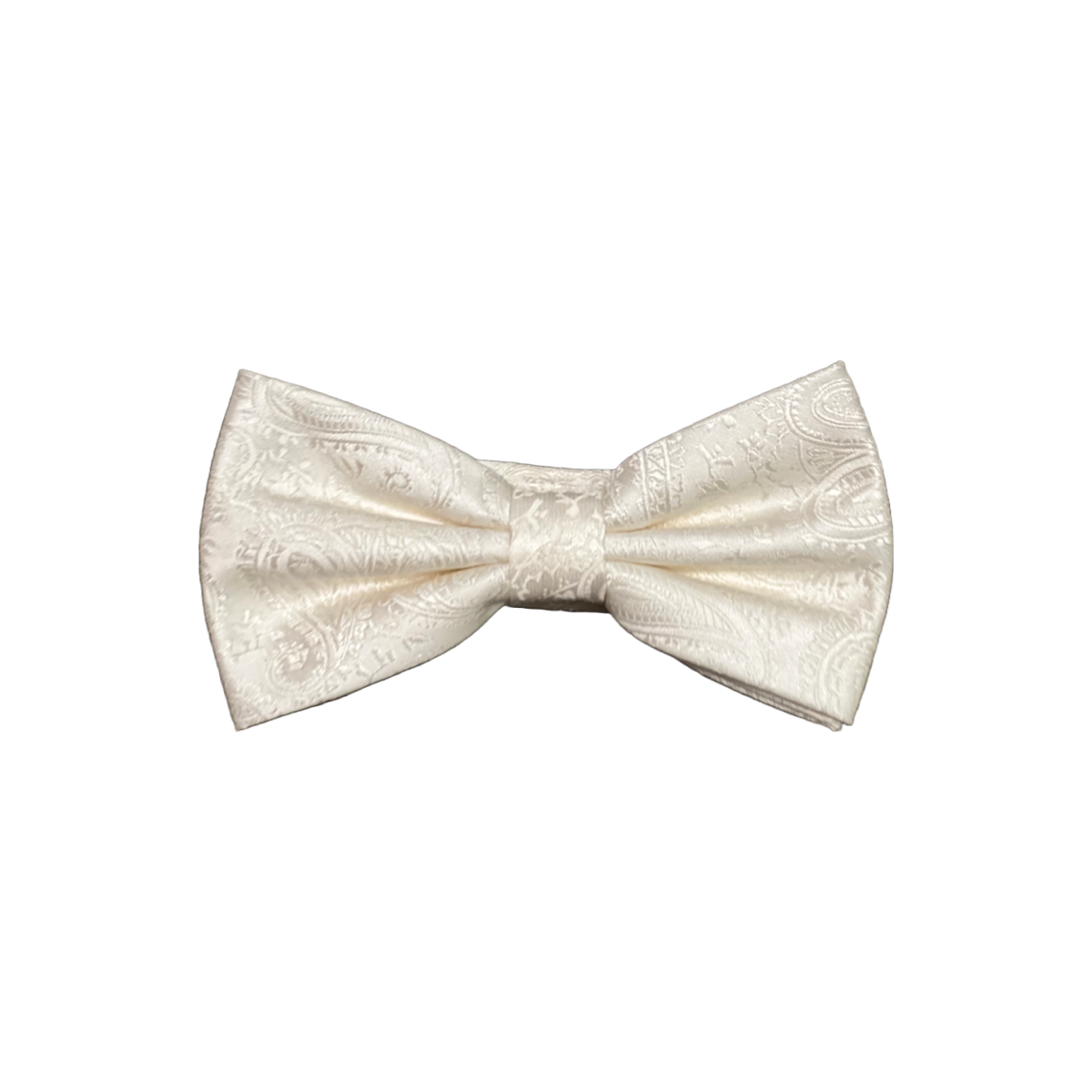 Mens Paisley Bow Tie