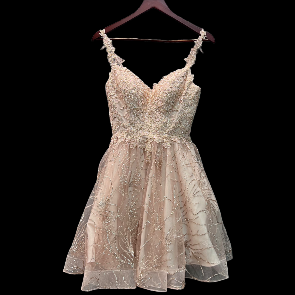 Blush Jr. Grad Dress w Intricate Glitter Embroidery