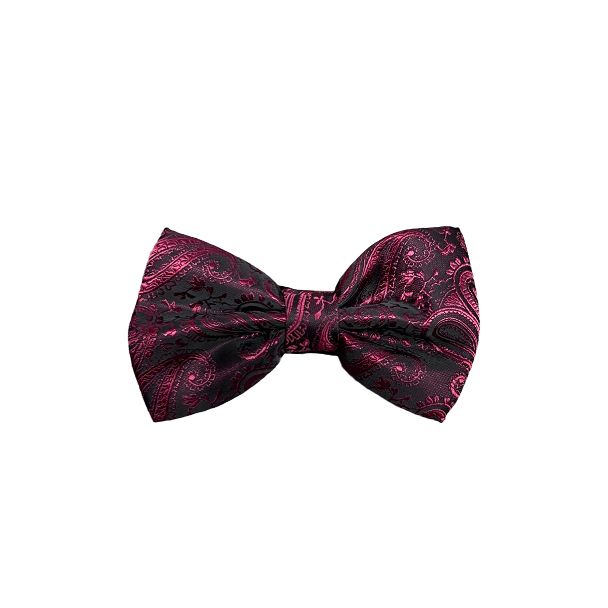 Mens Paisley Bow Tie