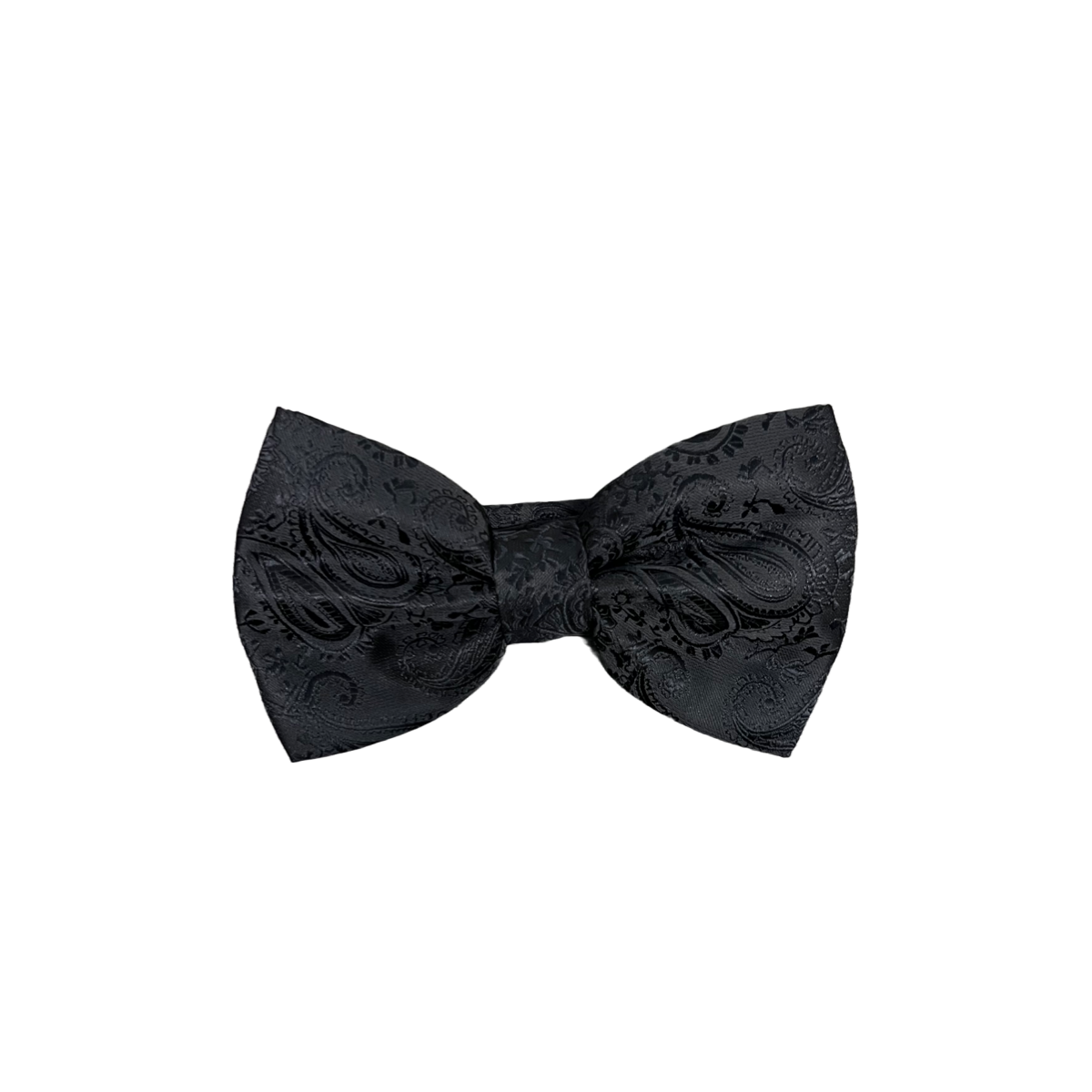 Mens Paisley Bow Tie