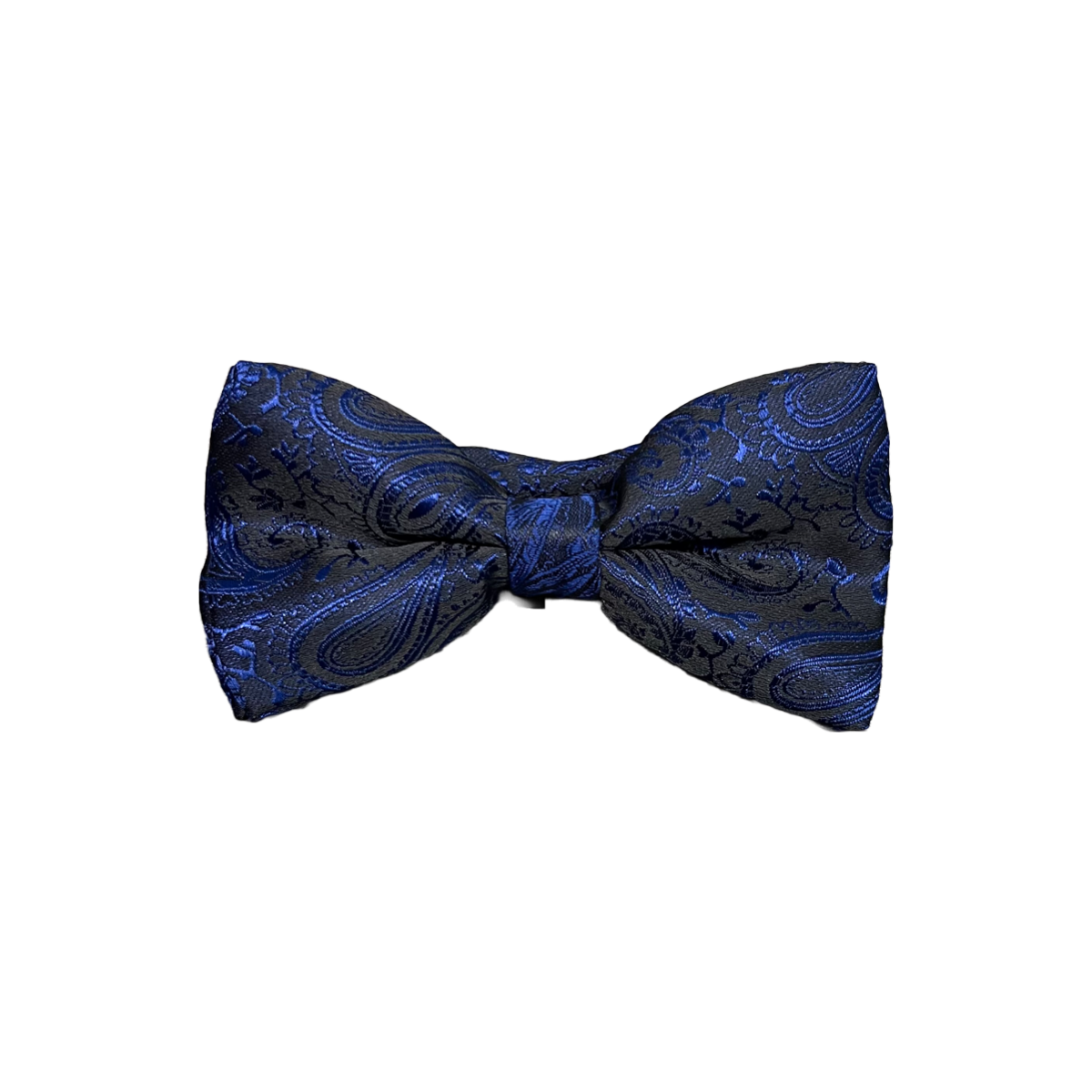 Mens Paisley Bow Tie