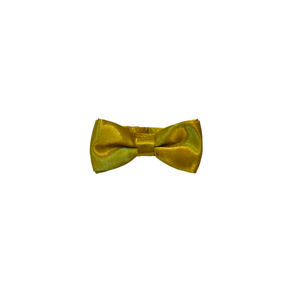 Bow Tie w/ Gloss Finish