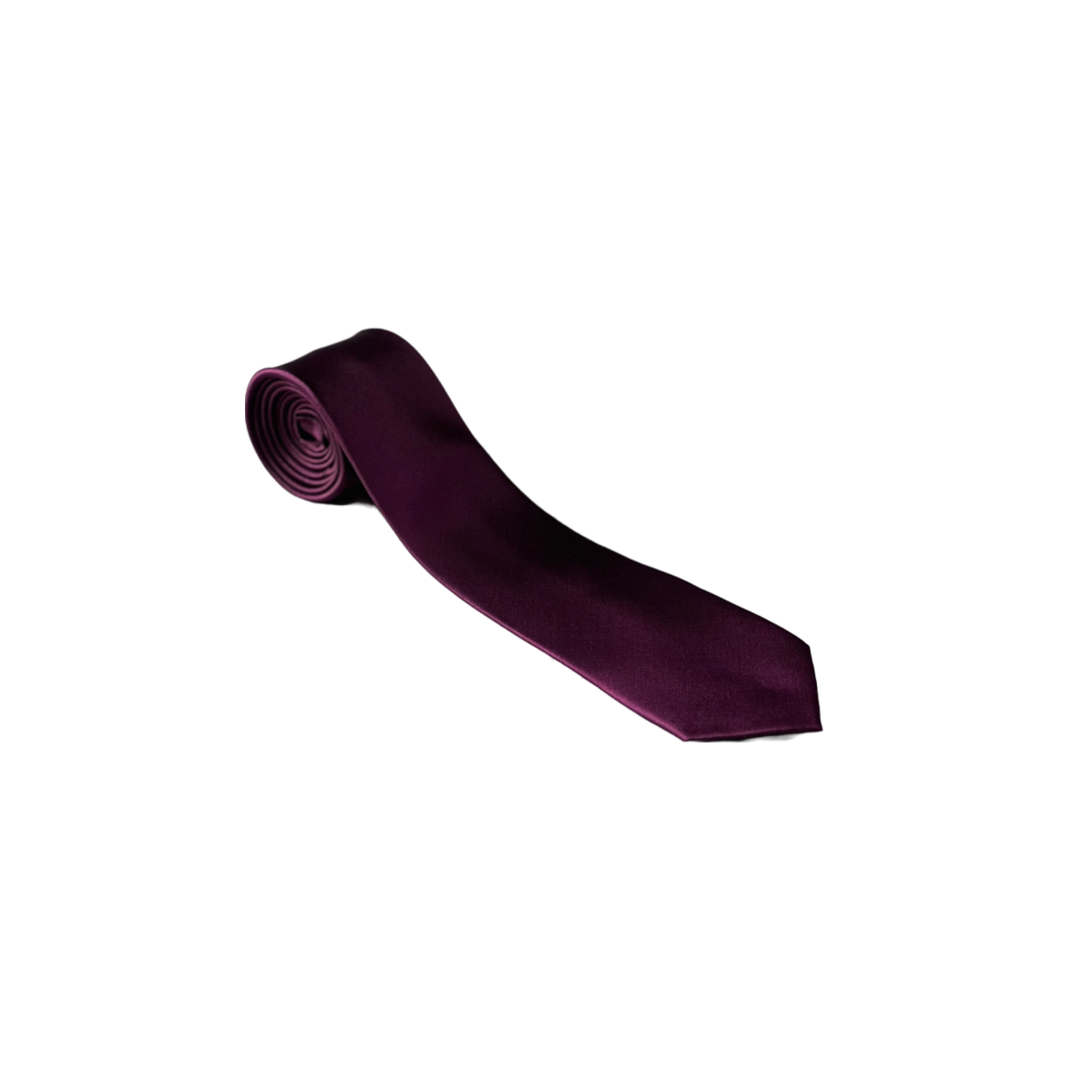Private Label Plum Mens Necktie