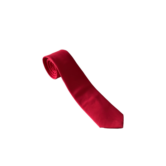 Paulo Starto Mens Necktie