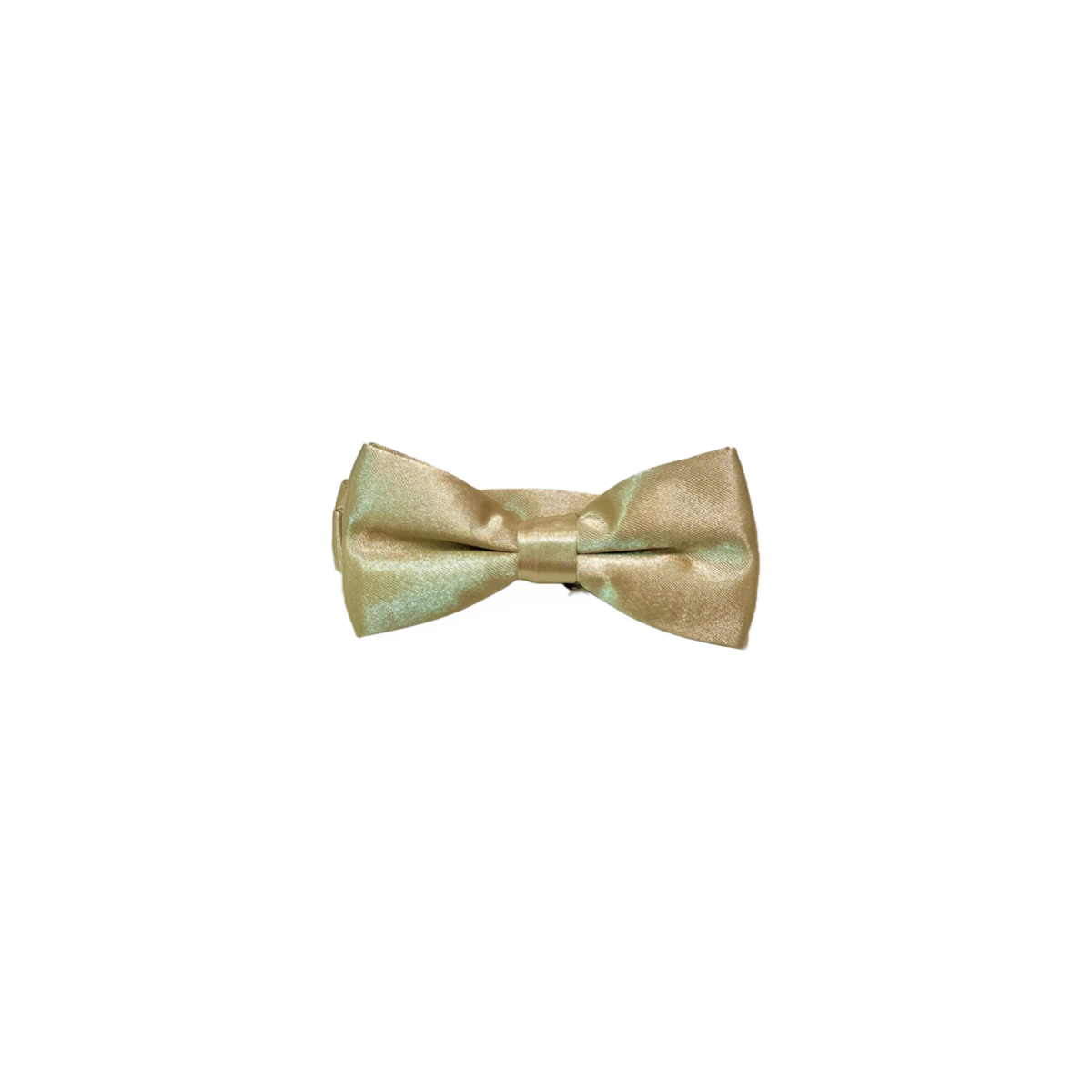 Bow Tie w/ Gloss Finish