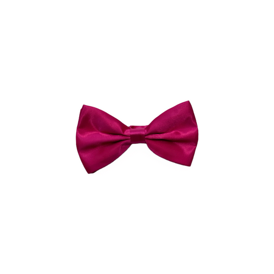 Mens Fuchsia Bow Tie