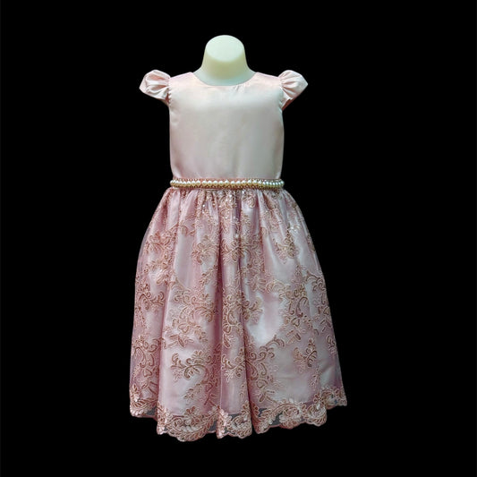 Dusty Pink Short Sleeve Dress w/ Embroidered Skirt