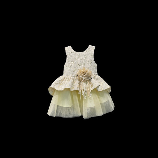 Fancy Kids Lace & Tulle Peplum Flower Girl Gold Dress w/ Floral Appliqué