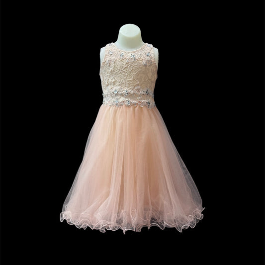 Peach Lace Embroidered Rhinestone Knee-Length Dress with Shawl