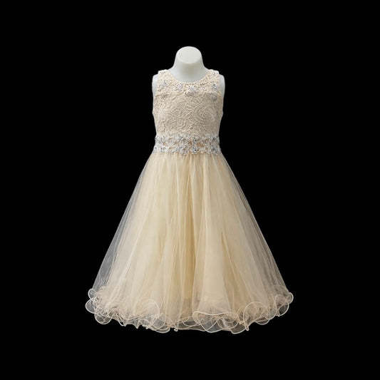Champagne Lace Embroidered Rhinestone Knee-Length Dress with Shawl