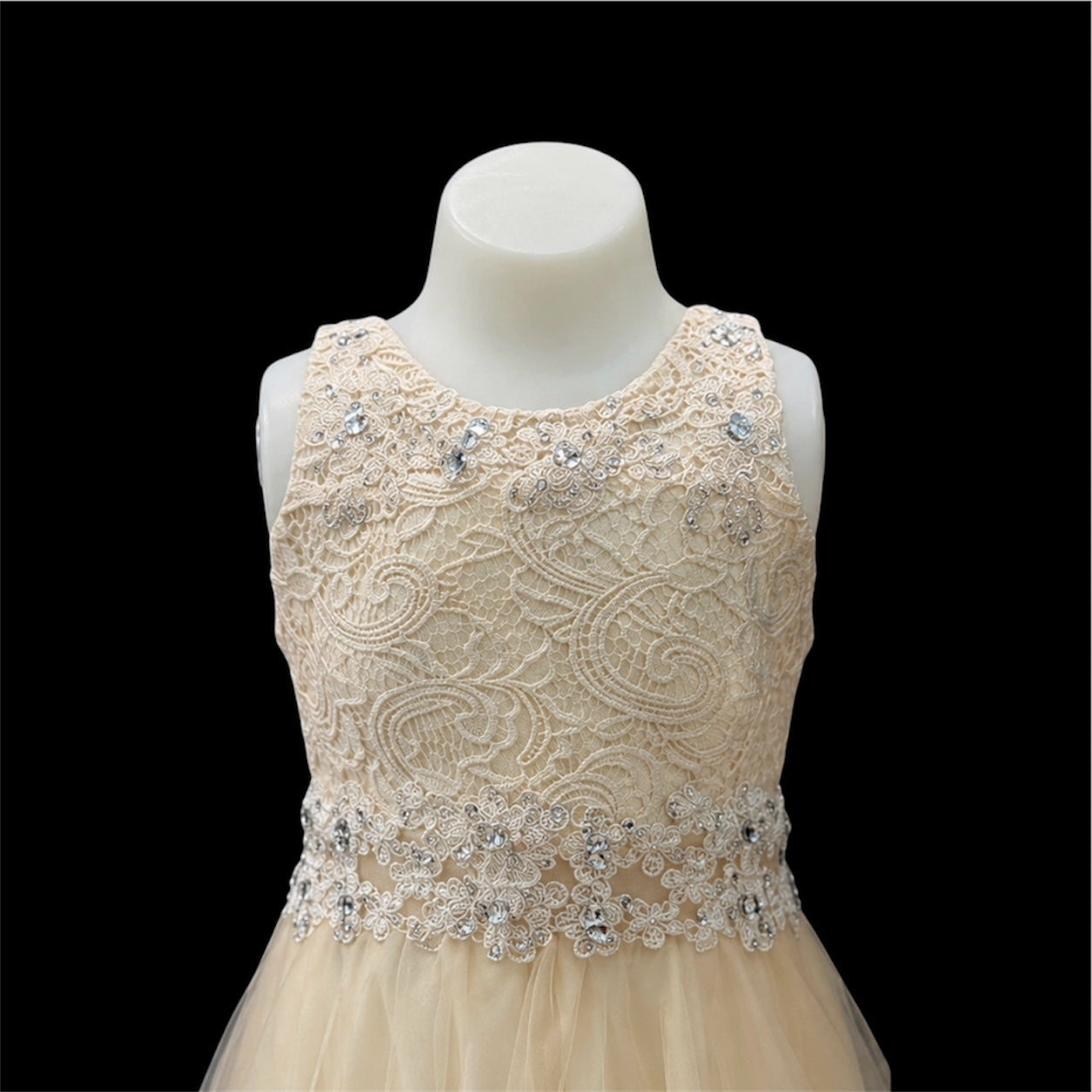 Champagne Lace Embroidered Rhinestone Knee-Length Dress with Shawl