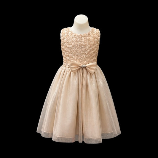 Champagne Glitter Tulle Dress with Floral Ribbon Bodice & Rhinestone Bow Waist (Size 8)