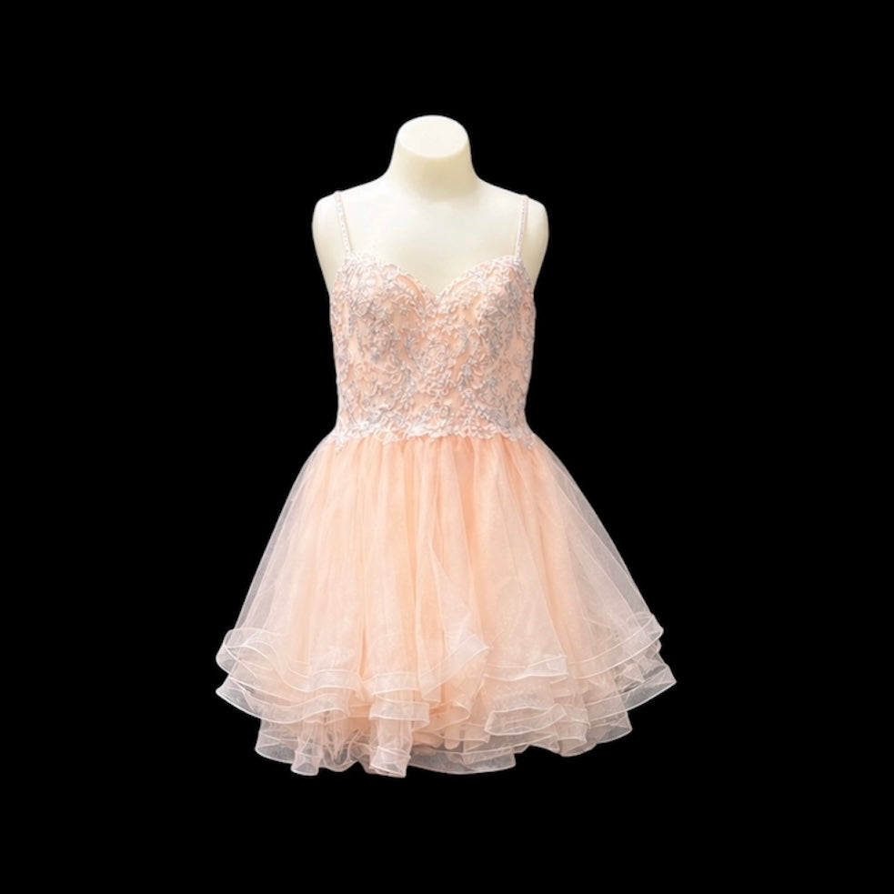 Blush Jr. Grad Dress with Lace Embroidered Bodice and Sparkle Tulle Skirt