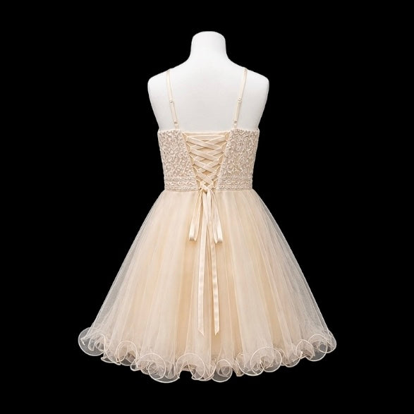 Halter Lace Jr. Grad Dress with Beaded Waist and Tulle Skirt