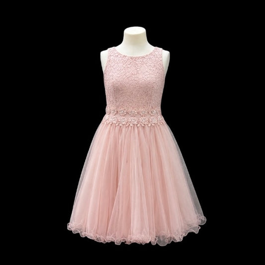 Jr. Grad Short Lace Blush Dress (L)