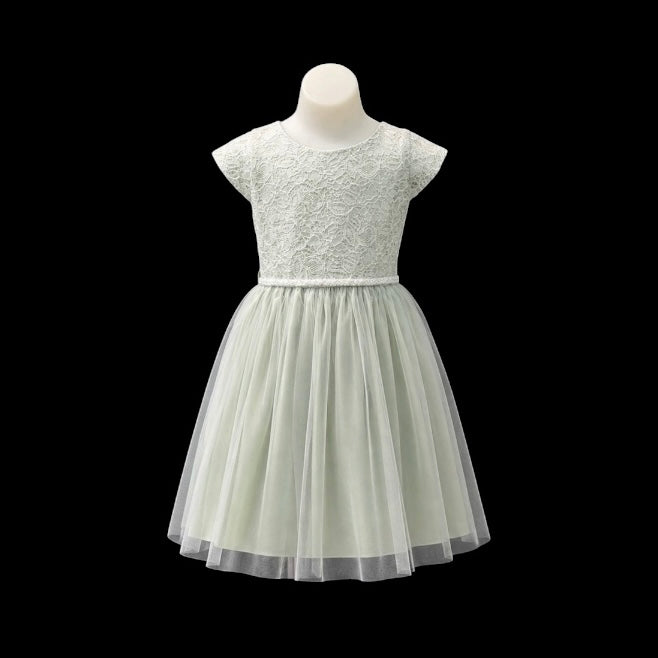 Sequin Lace Sage Tea-length Dress w/ Pearl Waist & Tulle Skirt