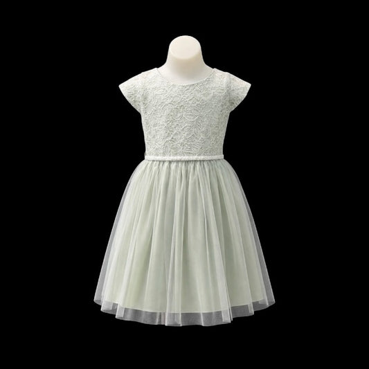 Sequin Lace Sage Tea-length Dress w/ Pearl Waist & Tulle Skirt