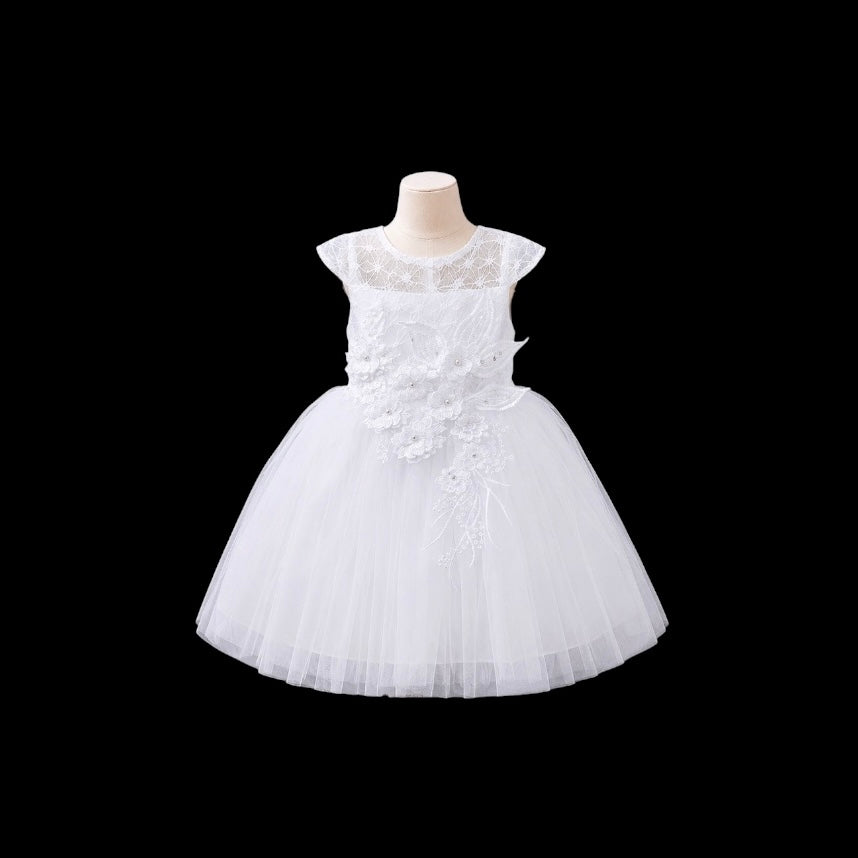 Baby Girl Lace Cap Sleeve Dress with Floral Embroidered Bodice & Layered Tulle Skirt