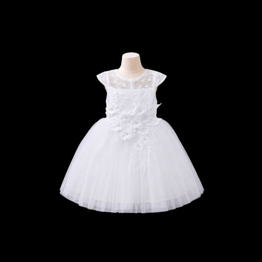 Baby Girl Lace Cap Sleeve Dress with Floral Embroidered Bodice & Layered Tulle Skirt
