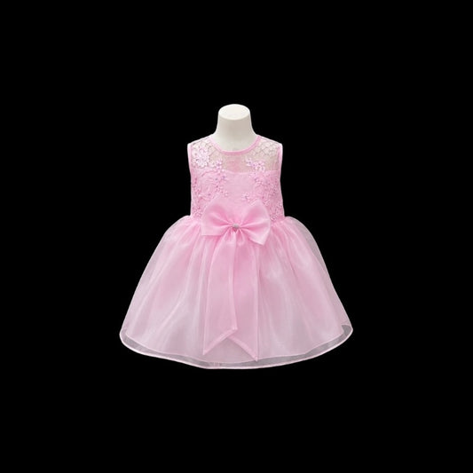 Pink Floral Embroidered Tulle Baby Dress with Sequin & Beaded Bodice and Bow