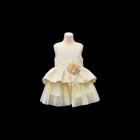 Fancy Kids Lace & Tulle Peplum Flower Girl Gold Dress w/ Floral Appliqué