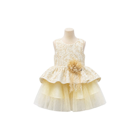 Fancy Kids Gold Floral Lace & Layered Tulle Baby Party Dress with Rosette