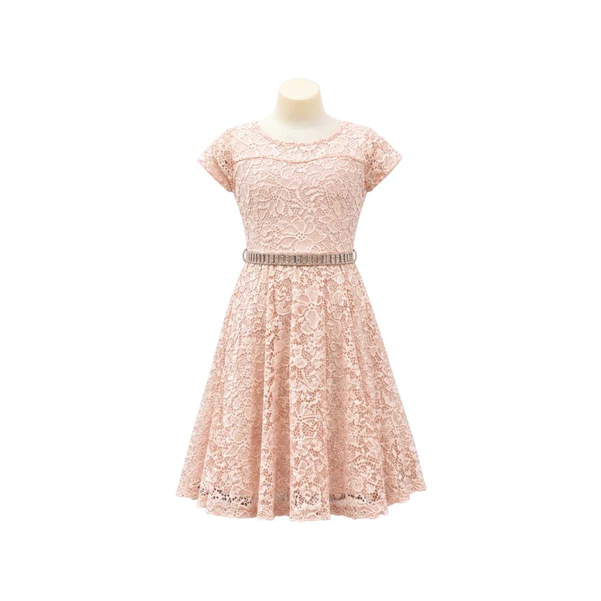 Champagne Floral Lace Tea-Length Dress with Rhinestone Waistband