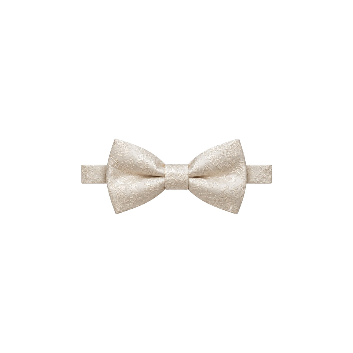 Men’s Paisley Bow Tie