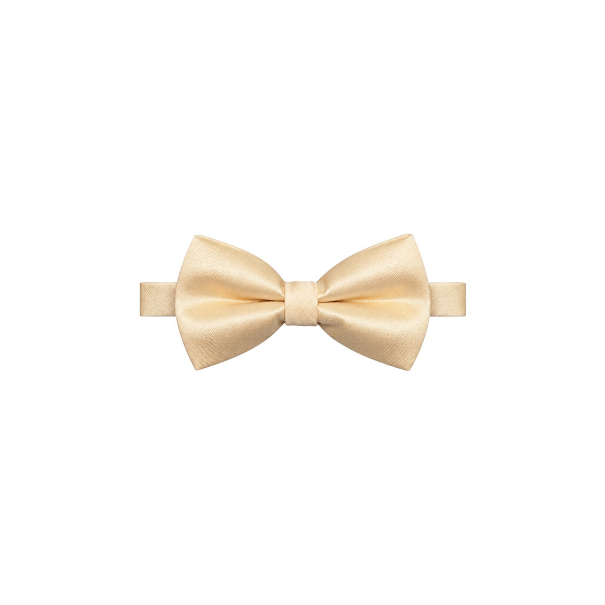 Men’s Micro Silk Bow Tie