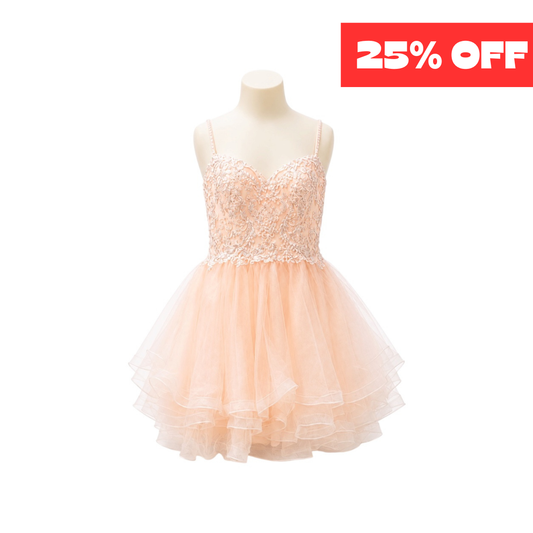 Blush Sweetheart Embroidered Jr. Dress with Layered Tulle Skirt (L)