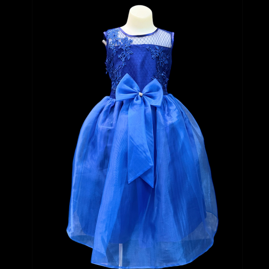 Floral Embroidered Royal Blue Dress W/ Beads and Sequins