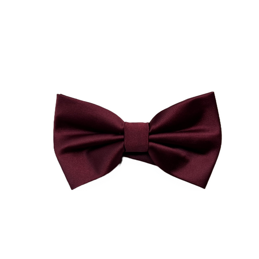 Mens Burgundy Bow Tie