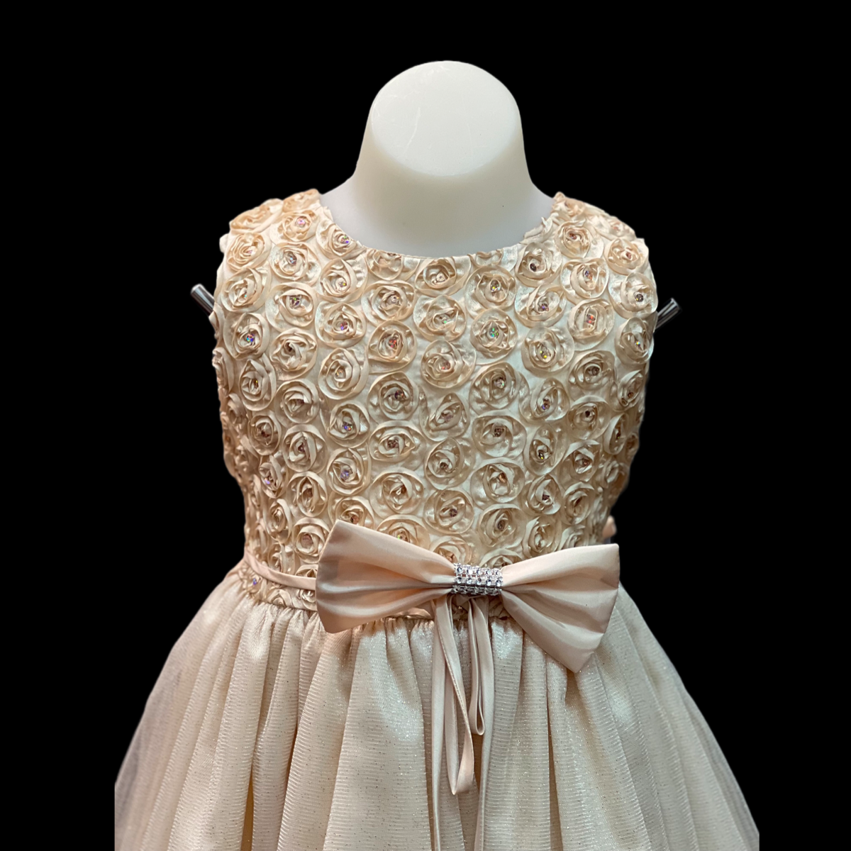 Champagne Floral Ribbon Swirl Dress