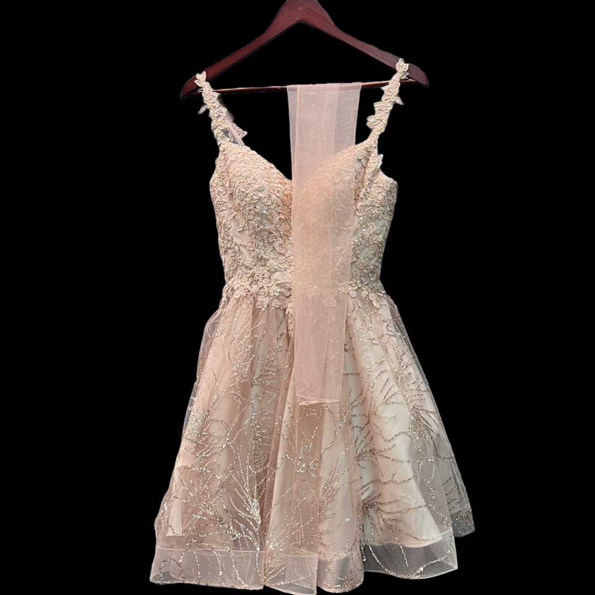 Blush Jr. Grad Dress w/ Intricate Glitter Embroidery