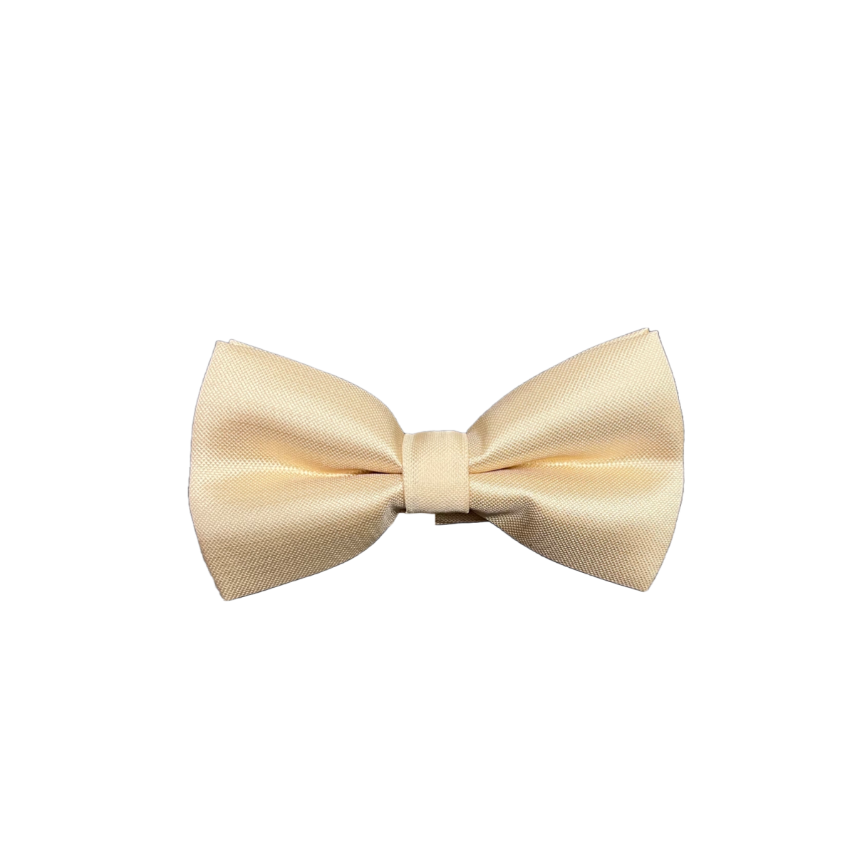Mens Micro Silk Bow Tie