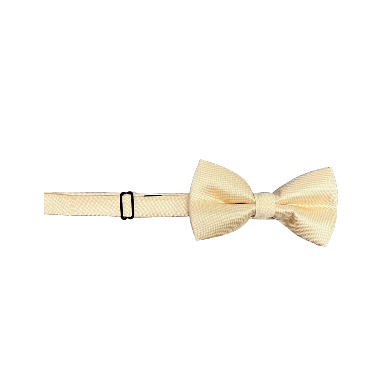 Mens Micro Silk Bow Tie